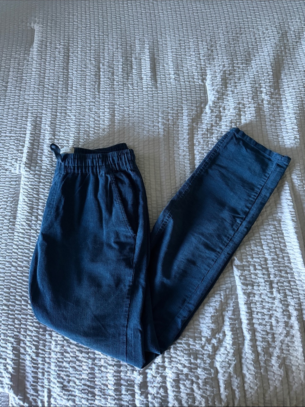 Surf and Swim Co. Explorer Pants (Corduroy)